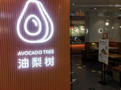 -油梨树 AVOCADO TREE(亮马桥店)
