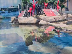 -鸿通城购物中心