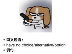 -I-Shine英语国际教育(御桥张江中心)