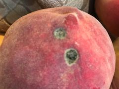 -昆明东站水果交易市场