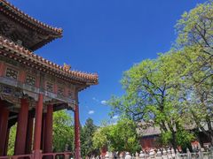 -北陵公园