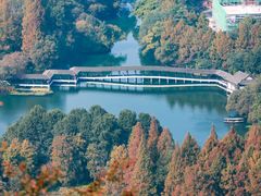 -九曜山