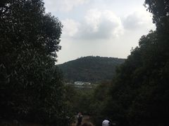-龙寺生态园