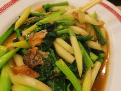 -中国城银都鱼翅酒楼