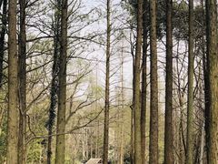 -UNI UNI(环亚凯瑟琳店)