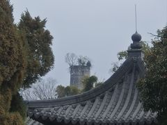 -江心屿景区