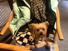 -普洱茶府(博乐广场店)