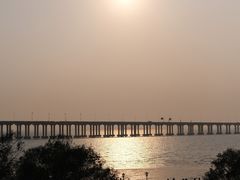 -宝安西湾红树林湿地公园