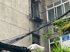 -蓉城西二道无名冒菜(西二道街店)