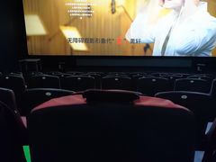 -SFC上影百联影城(大上海4DX店)