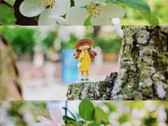 -八大关景区