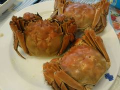 -银鲨国际美食百汇(金牛万达广场店)