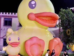 -巨鹏飞梦幻海岸