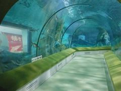-福州罗源湾海洋世界旅游区