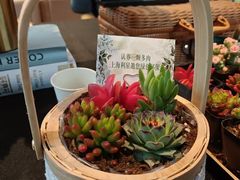 -奔驰上海利星(七宝店)