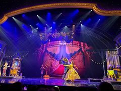 -巴黎迪士尼乐园