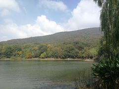 -紫霞湖公园