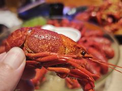 -红盔甲·小龙虾(车公庙店)
