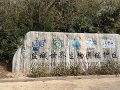 -盐城丹顶鹤湿地生态旅游区