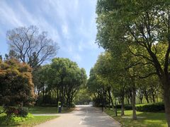-贡湖湾湿地公园