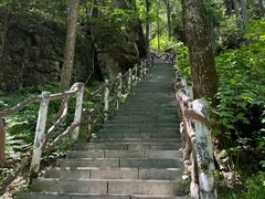 -汤旺河林海奇石景区
