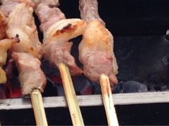 iphone_upload_pic-冯老二羊肉串