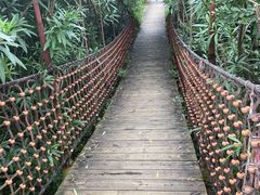 -吴淞炮台湾湿地森林公园烧烤区