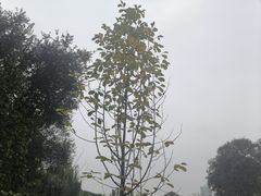 -沙河三洞古桥公园