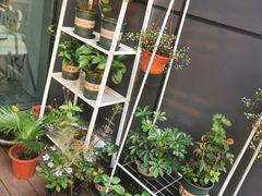 -Primo·丽莫意大利窑烤披萨