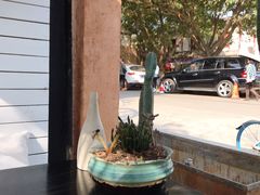 -云里小坐·小院里·团建·宴请·下午茶(三圣乡店)