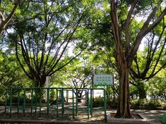 -南宁南湖公园