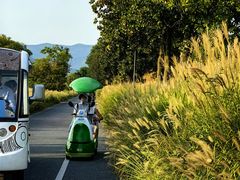 -良渚古城遗址公园