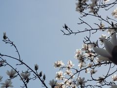 -冶春茶社(星汉大厦店)