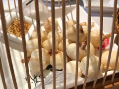 -八分饱·西津会(西津渡店)