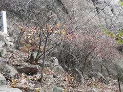 -崂山巨峰游览区