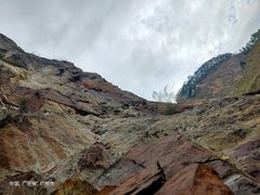 -黄埔油麻山森林公园