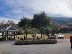 -火炉山森林公园