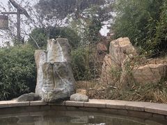 -徂徕山森林康养度假谷温泉