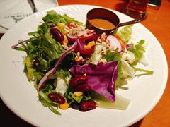 田园时蔬沙拉沙拉-布拉格餐厅· 中欧捷克菜(全国首店)