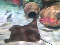 -沈阳海洋探索中心