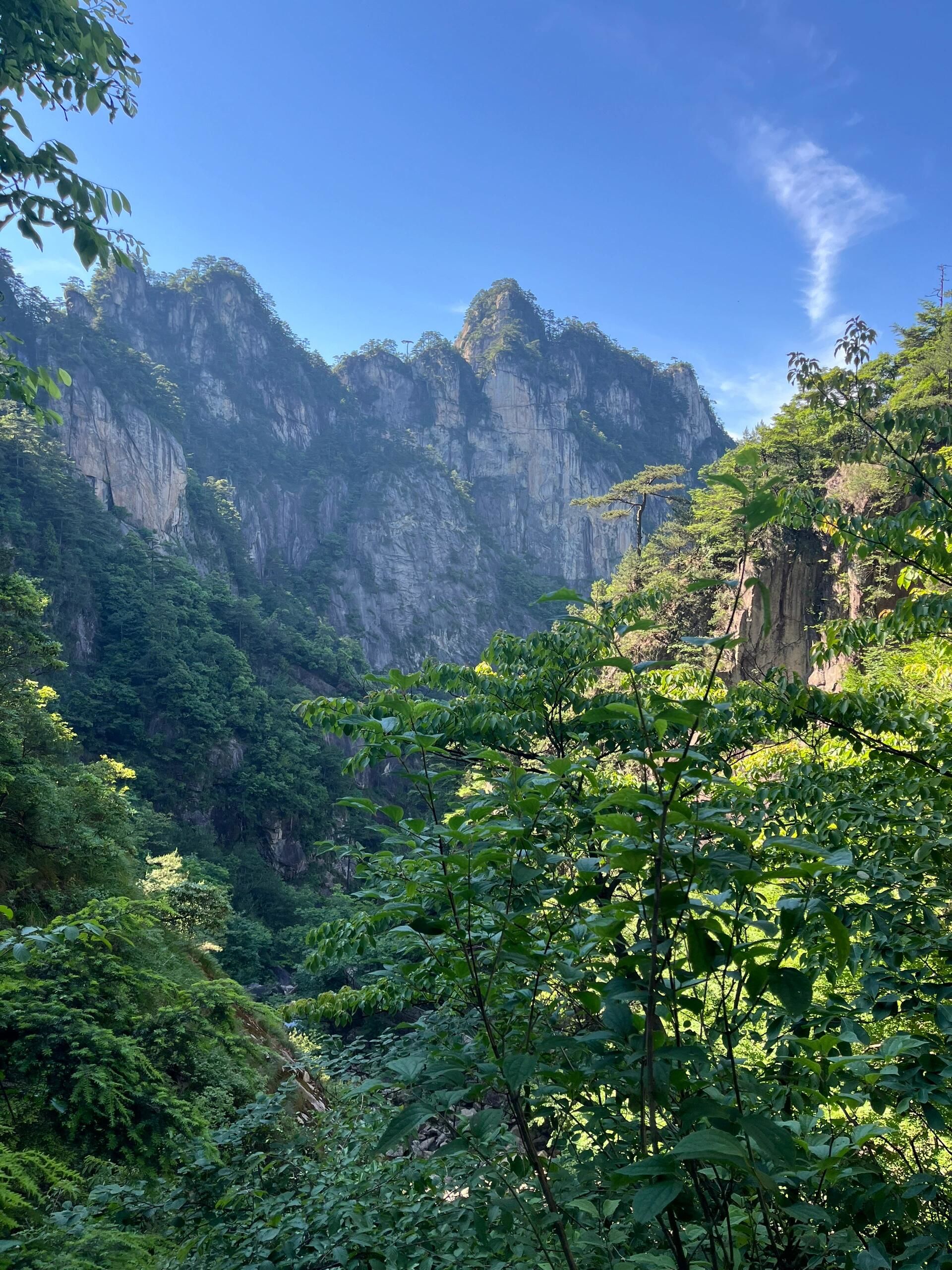 我拍到的治愈系风景 #风景区攻略 #分享治愈系风景 #云雾缭绕人间