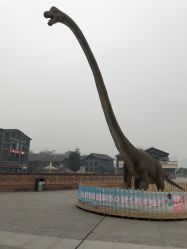 -恐龙探索乐园(磁器口店)