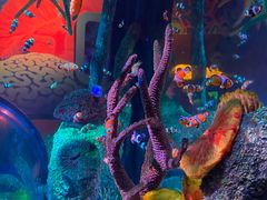 -沈阳海洋探索中心