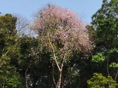 -广州雕塑公园