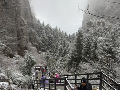 -恩施大峡谷