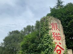 -都江堰中华大熊猫苑
