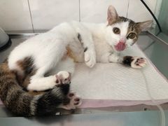 -畜牧兽医站(共江路店)