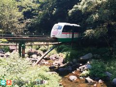 -溪口-滕头旅游景区