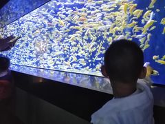 -成都浩海立方海洋公园