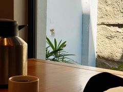 -枣子树·素食餐厅(普陀山店)